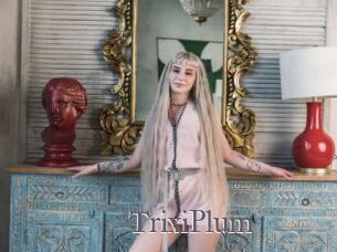TrixiPlum