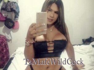 TsMafeWildCock