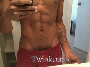 Twinkcut22