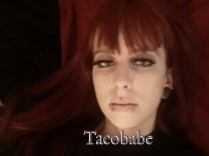 Tacobabe
