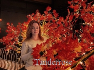 Tanderrose