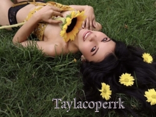 Taylacoperrk