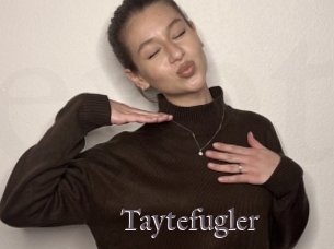 Taytefugler