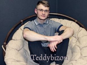 Teddybizon