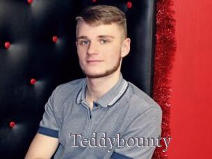 Teddybounty