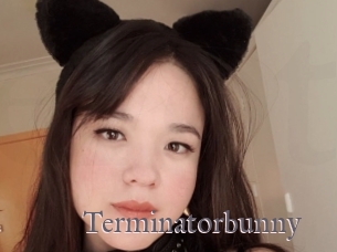Terminatorbunny