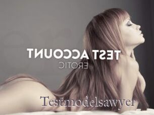 Testmodelsawyer