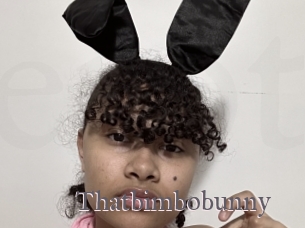 Thatbimbobunny