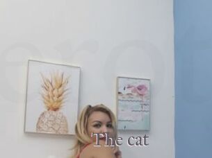 The_cat