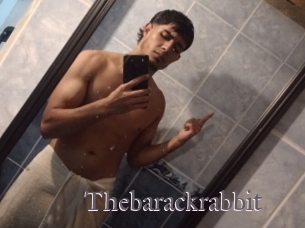 Thebarackrabbit