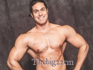 Thebig22cm