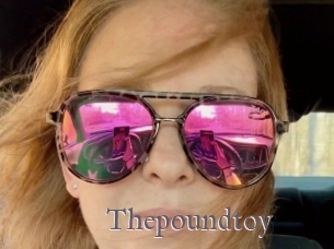 Thepoundtoy