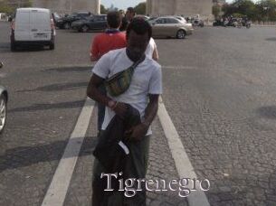 Tigrenegro