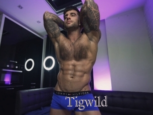 tigwild Erotik Cams