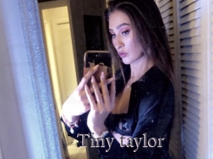 Tiny_taylor