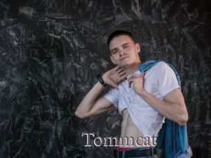 Tommcat