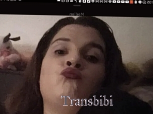 Transbibi
