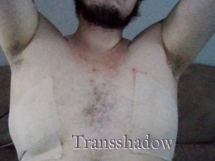 Transshadow