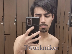 Twunkmikee
