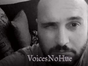 VoicesNoHue