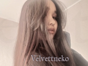 Velvettneko