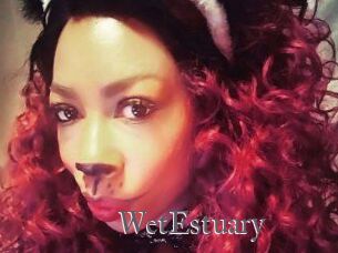 WetEstuary