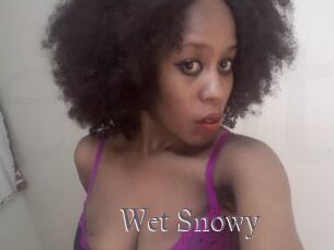 Wet_Snowy
