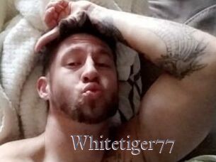 Whitetiger77