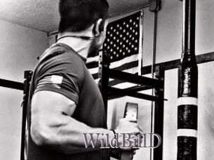 WildBillD