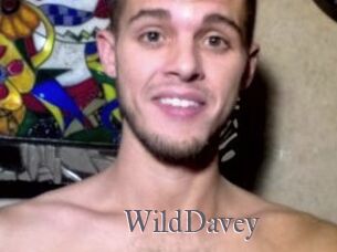 WildDavey