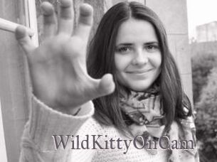 WildKittyOnCam
