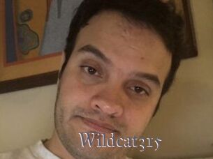 Wildcat315