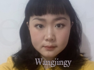 Wangjingy