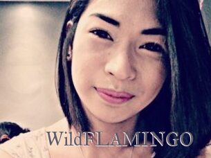 WildFLAMINGO