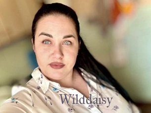 Wilddaisy