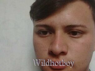 Wild_hotboy