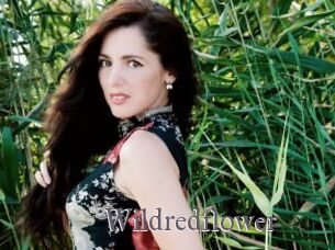 Wildredflower