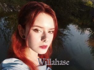 Willahase