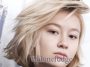 Wilonefudge