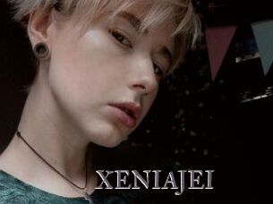 XENIA_JEI