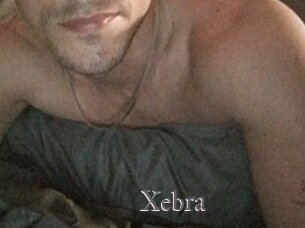 Xebra