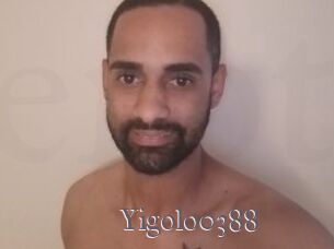 Yigolo0388