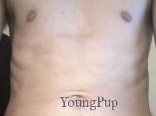 YoungPup