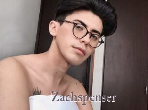 Zachspenser