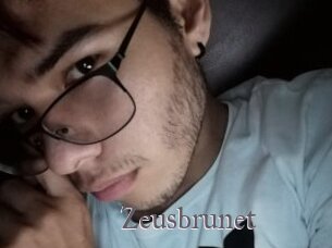Zeusbrunet