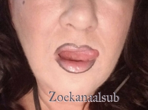 Zoekanaalsub